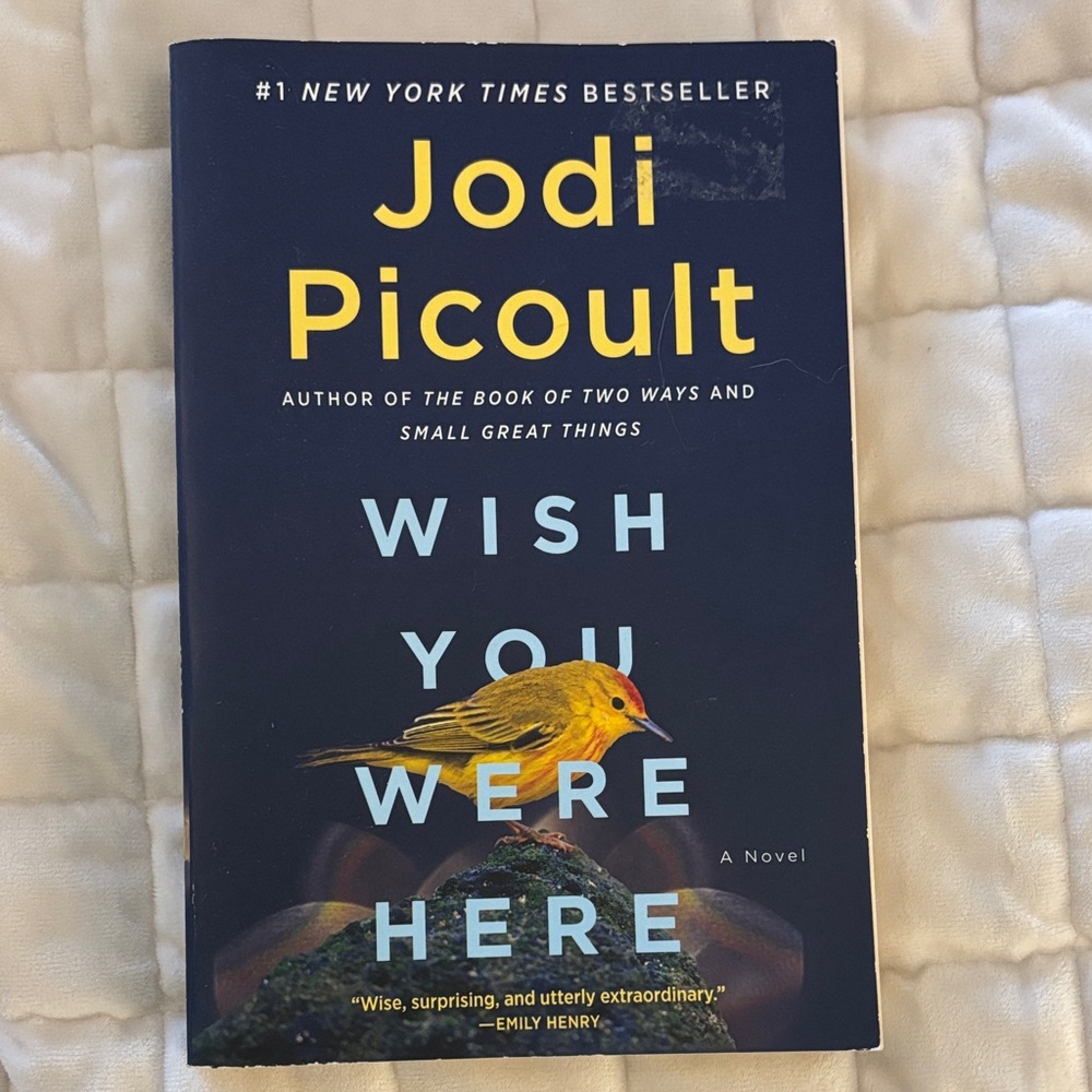 'Wish You Were Here' Novel - by Jodi Picoult